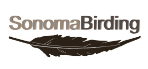 Sonoma Birding Logo