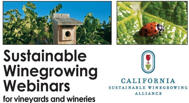 Sustainable Winegrowing Webinars