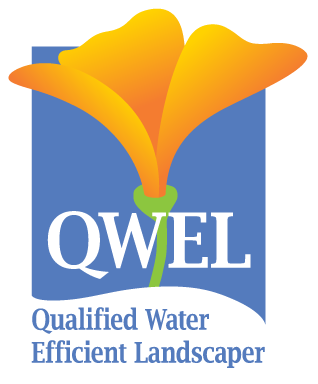qwel-logo-transparent