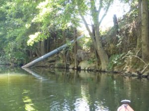 Sonoma Valley Groundwater Sustainability Agency - Public Hearing @ Vintage House | Sonoma | California | United States