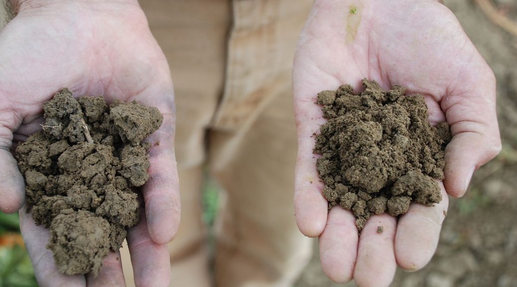 Healthy Soils-(by-UCANR.edu-blog)